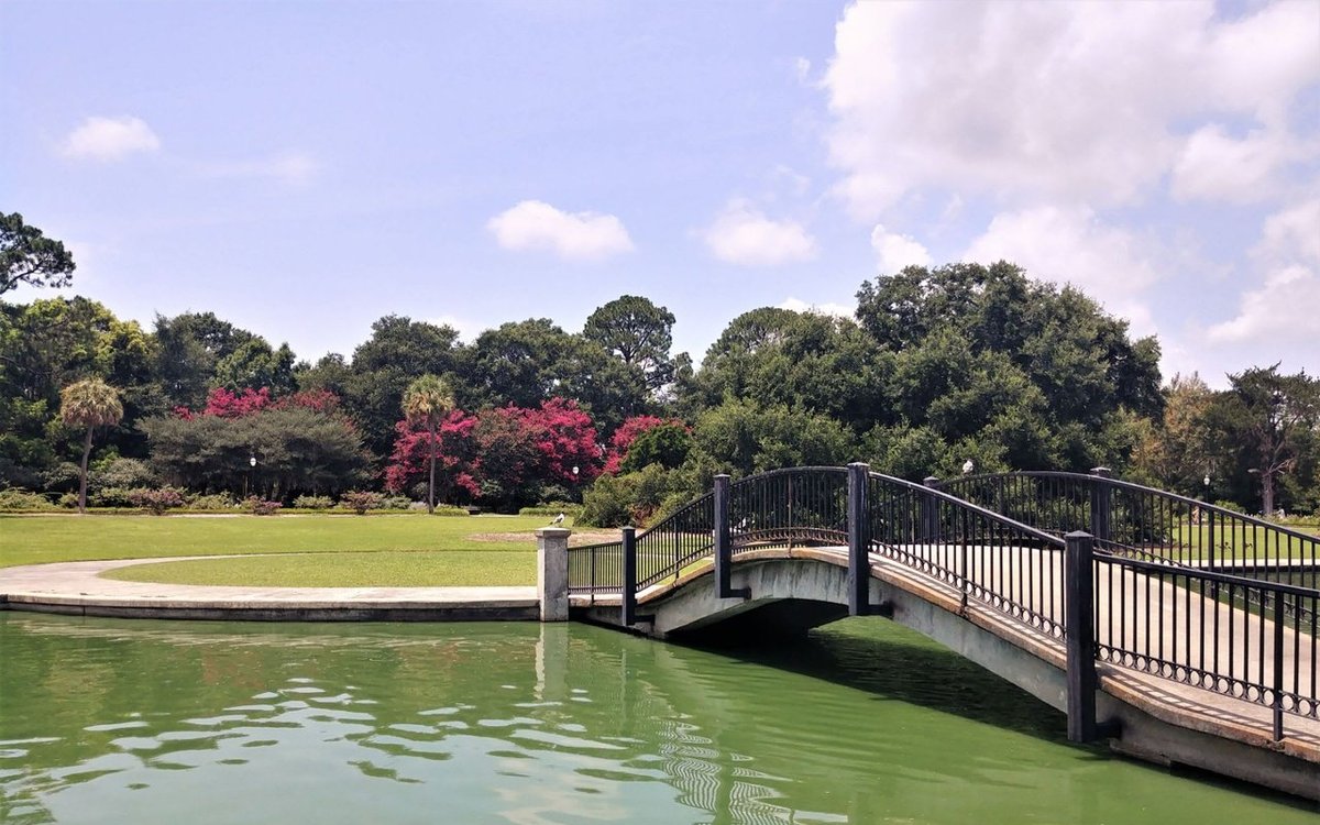 Hampton Park Terrace, SC - Hampton Park Terrace Charleston Real Estate – Discover Your Dream Home